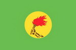 Zaire Flag